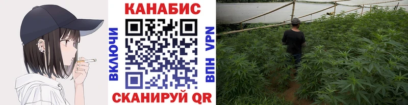купить  цена  Северодвинск  Каннабис OG Kush 